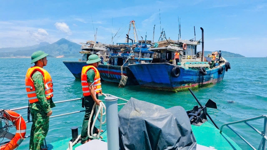 Đà Nẵng hành động từ bờ ra biển, quyết liệt gỡ “thẻ vàng” IUU