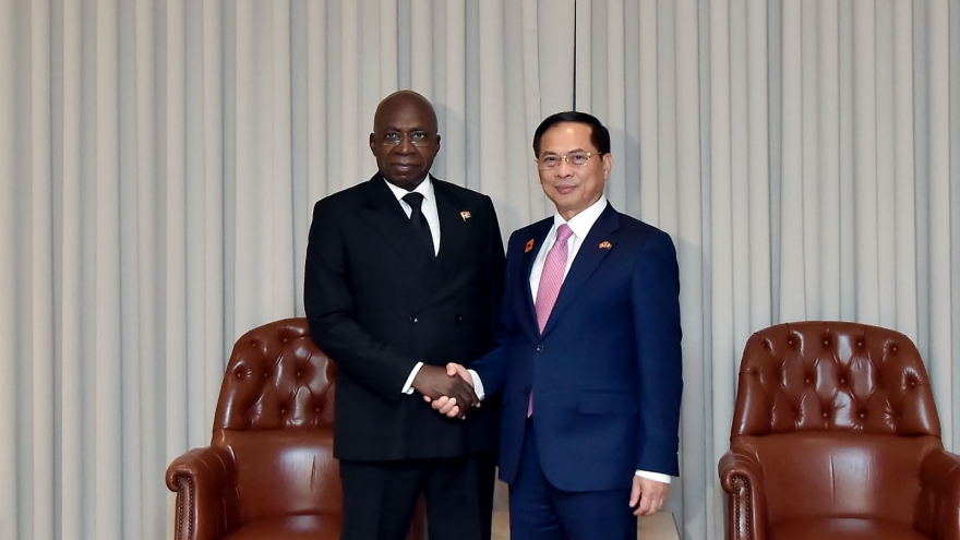 Phó Thủ tướng, Bộ trưởng Ngoại giao Bùi Thanh Sơn gặp Bộ trưởng Ngoại giao Angola