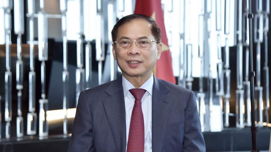 Chuyến thăm châu Phi của Chủ tịch nước thể hiện tầm vóc của đối ngoại Việt Nam