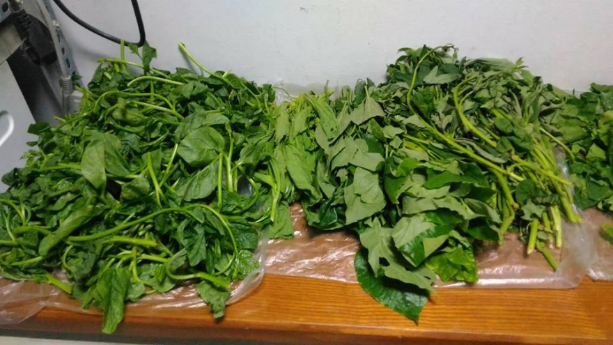 Tại sao nghe chuyện thầm kín thì cương cứng mà nằm cạnh vợ lại như không?