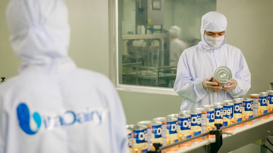 Thêm một doanh nghiệp sữa Việt gia nhập thị trường sữa Thế giới