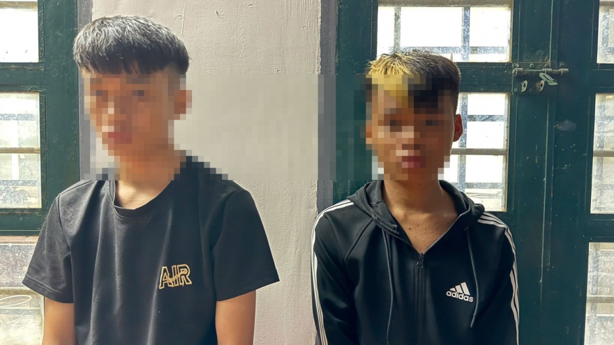 Hai anh em ở Đồng Nai bẻ khóa cửa hàng lấy trộm 14 điện thoại