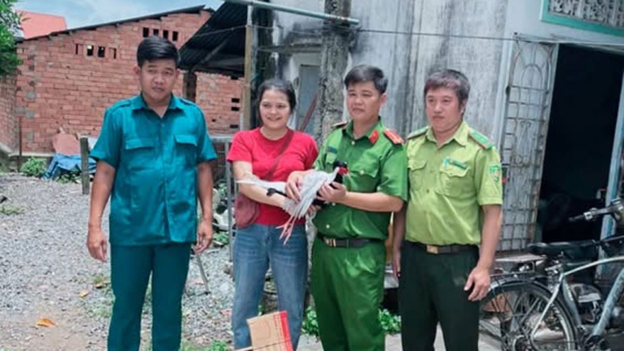 Phát hiện gà lôi trắng, người dân chủ động bàn giao cho công an