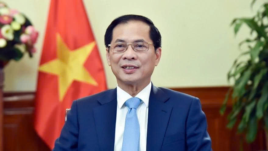 Diplomacy helps enhance Vietnam’s international position: Official