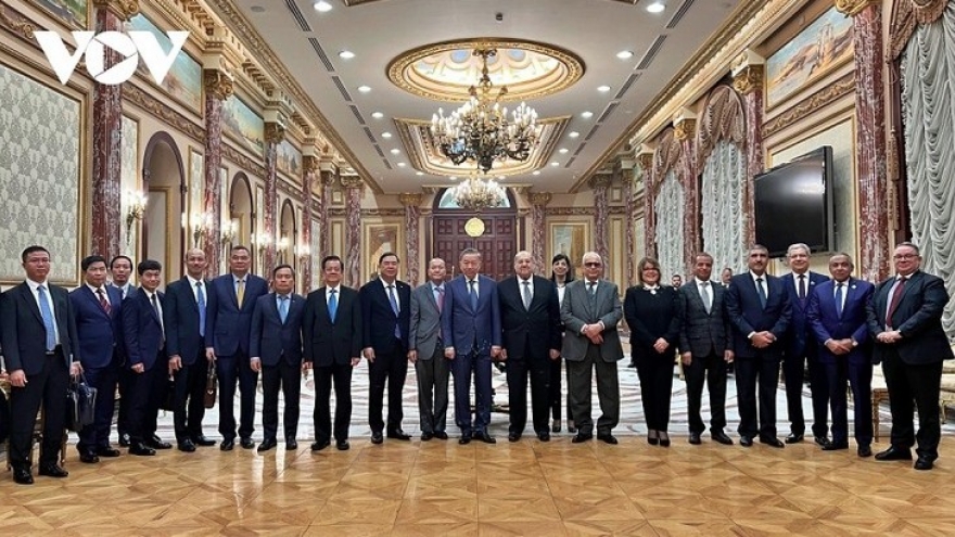 State leader’s visit holds strategic significance for Vietnam-Egypt relations