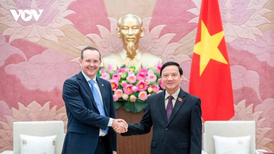 National Assembly Vice Chairman lauds Vietnam – Brazil friendship