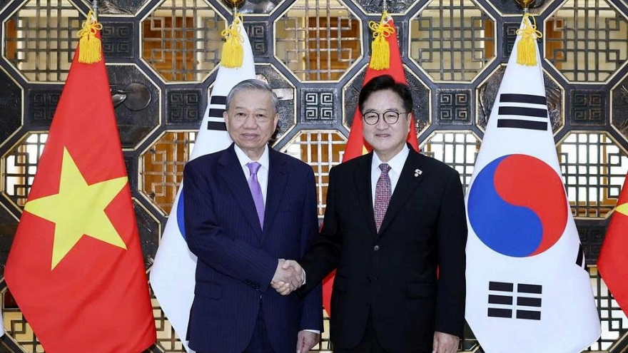 Party leader calls for effective implementation of Vietnam–RoK cooperation mechanisms