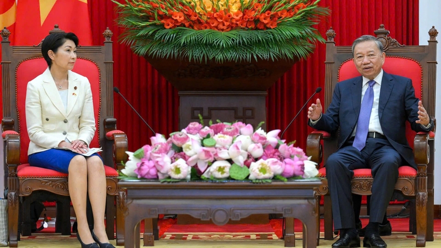 Party leader calls for stronger Vietnam – Japan economic connectivity