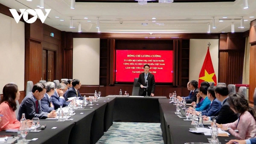Vietnam promotes comprehensive, substantive cooperation with African countries