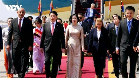 President Luong Cuong arrives in Egypt for State visit