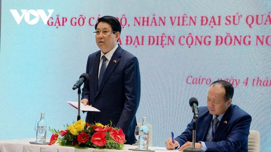 President Luong Cuong meets with Vietnamese expatriates in Egypt