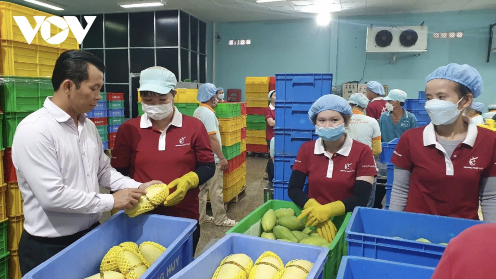 Vietnamese fruit and vegetable exports to EU market jump 44% in H1