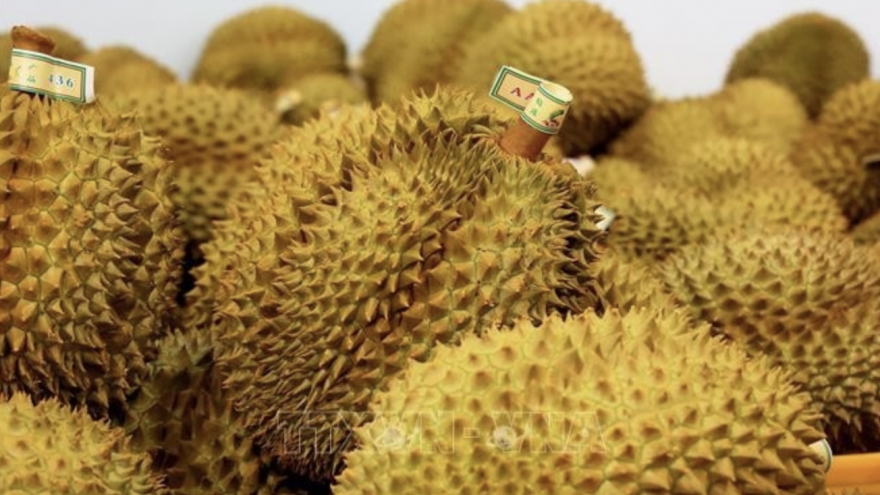 Vietnam’s fruit, vegetable exports regain growth momentum