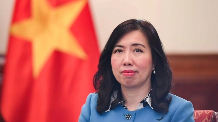 Vietnam charts new course for consular, citizen protection affairs