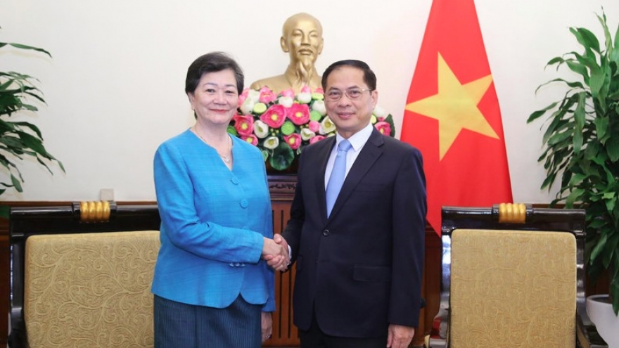Deputy PM, FM receives Cambodian ambassador