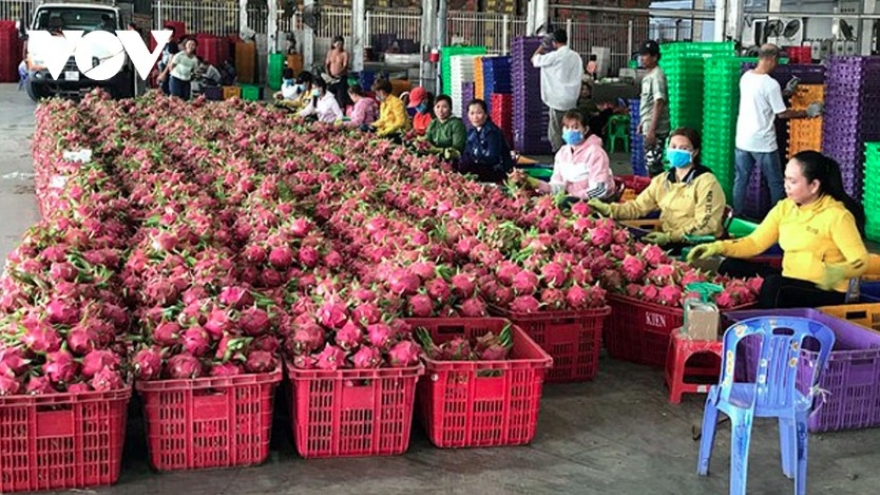Vietnamese exports struggle amid growing trade defence barriers