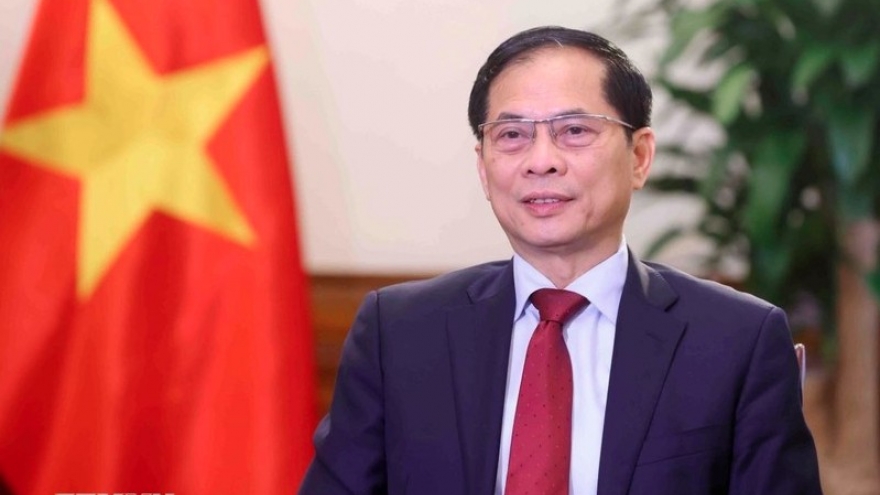 Deputy PM, FM highlights 80-year journey of Vietnam’s diplomacy