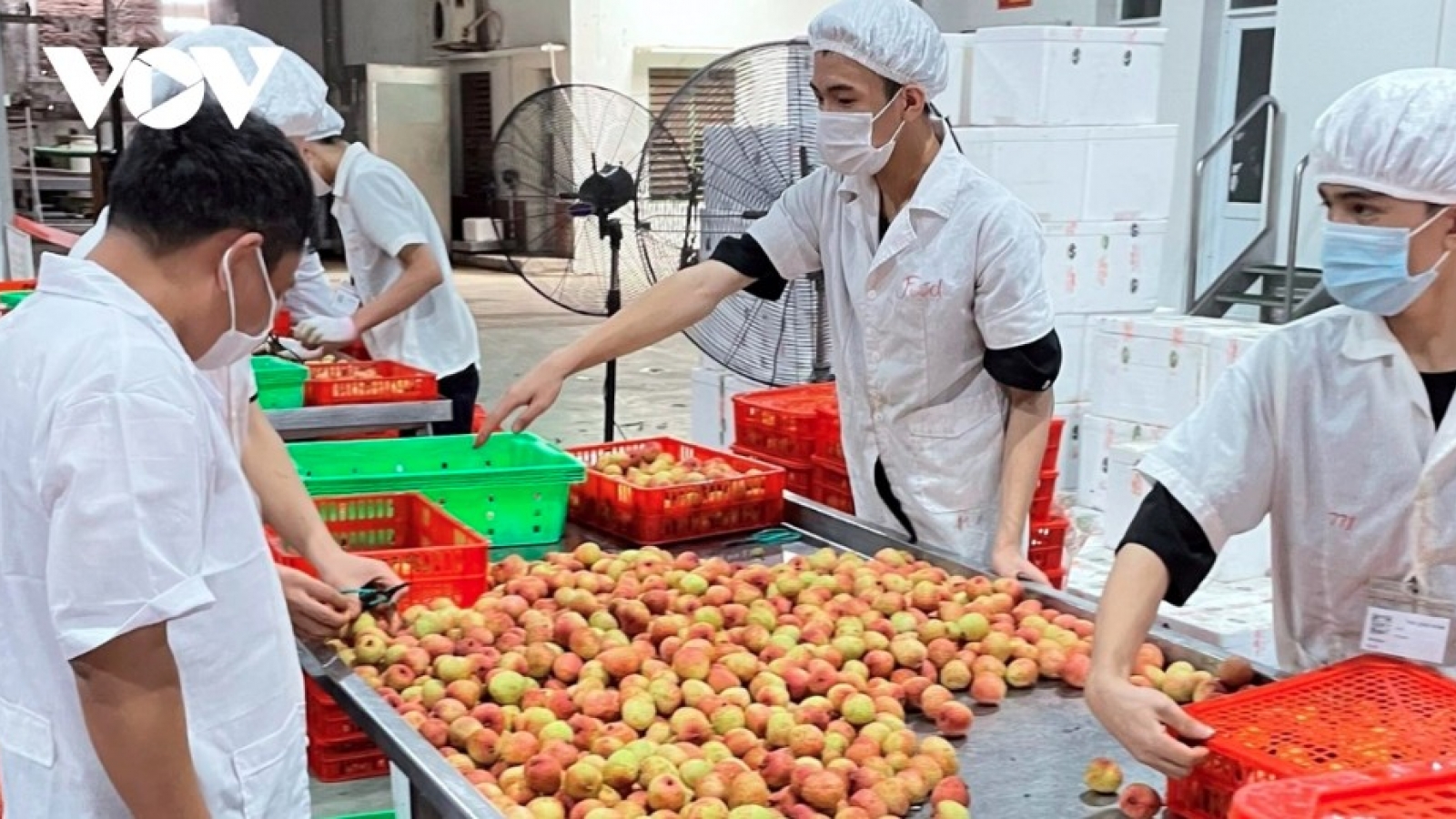 US slashes reciprocal tariff on Vietnamese exports to 20%