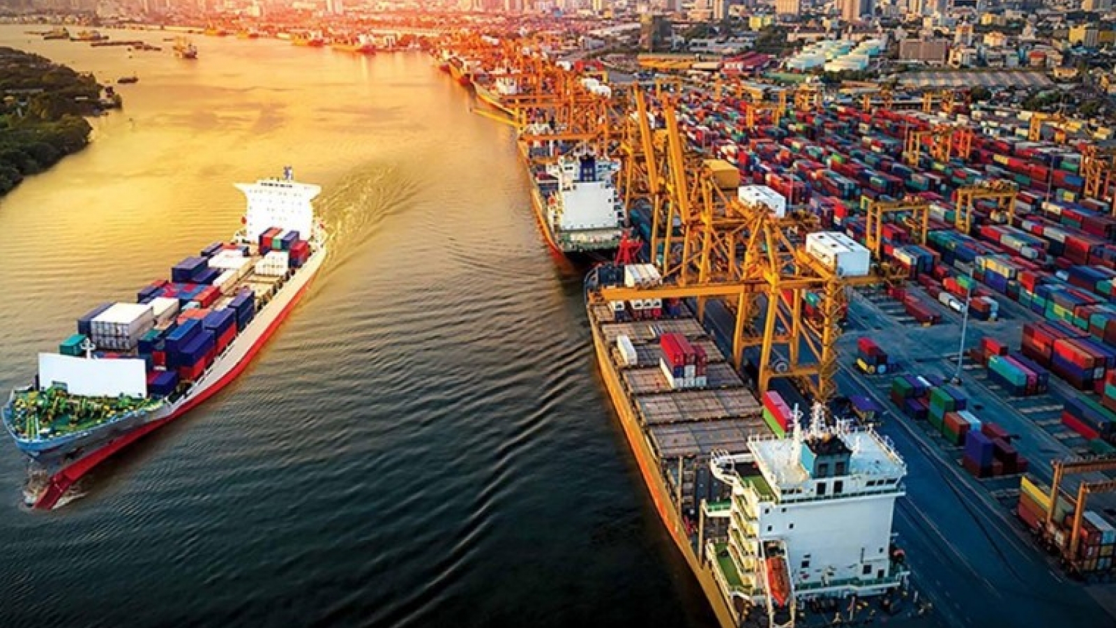 Vietnamese economy undergoes strong transformation with sound governance