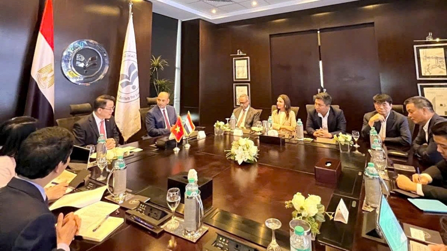 Vietnam and Egypt increase economic and investment cooperation