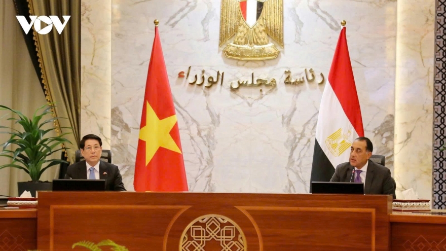 Vietnam attaches importance to multifaceted cooperation with Egypt