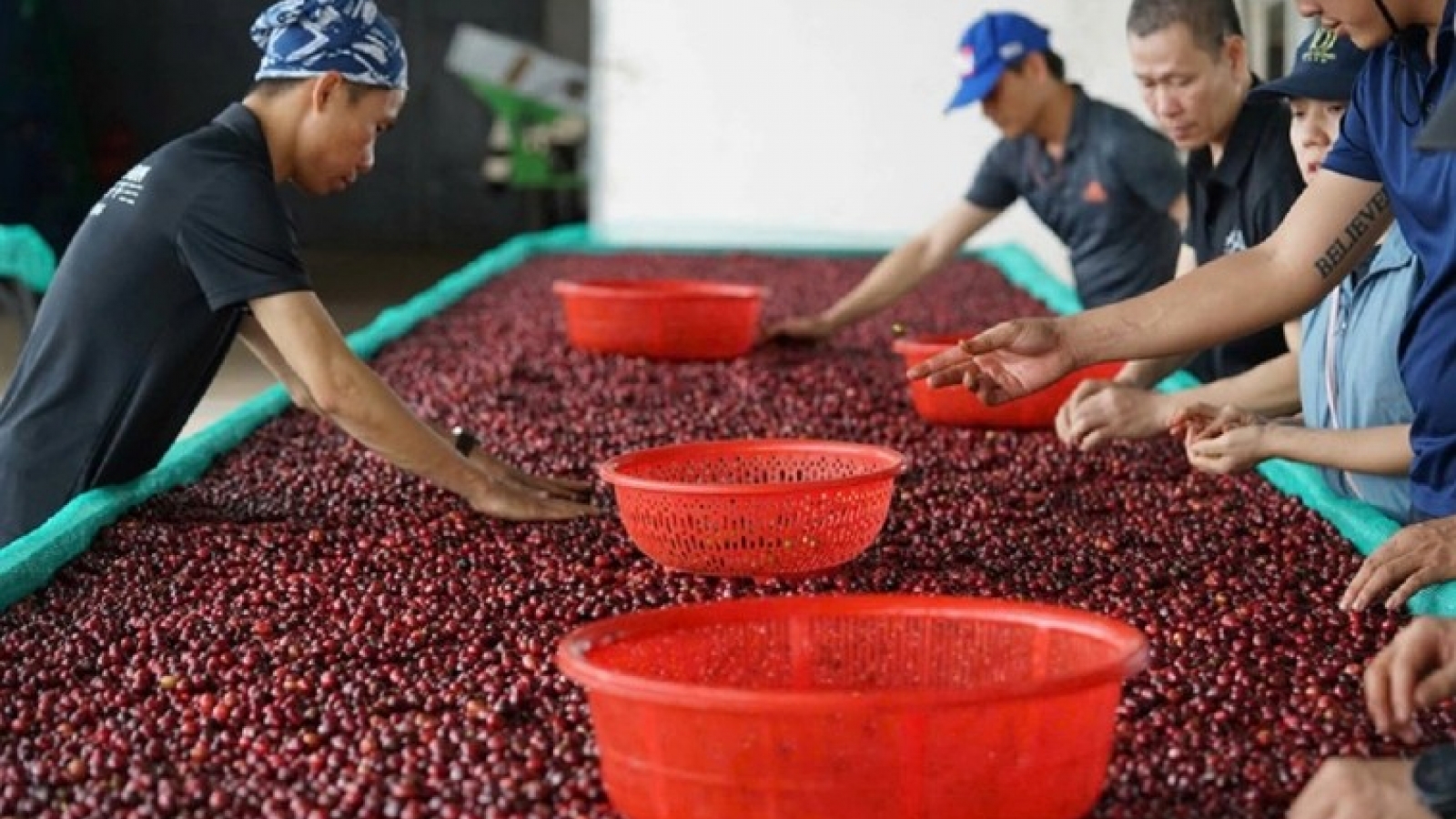 20% reciprocal tariff poses hurdles for Vietnamese exports to US
