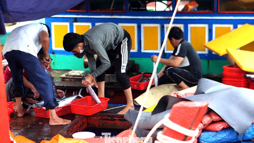 Ngư dân Hà Tĩnh trúng đậm hải sản trước giờ bão số 5 đổ bộ