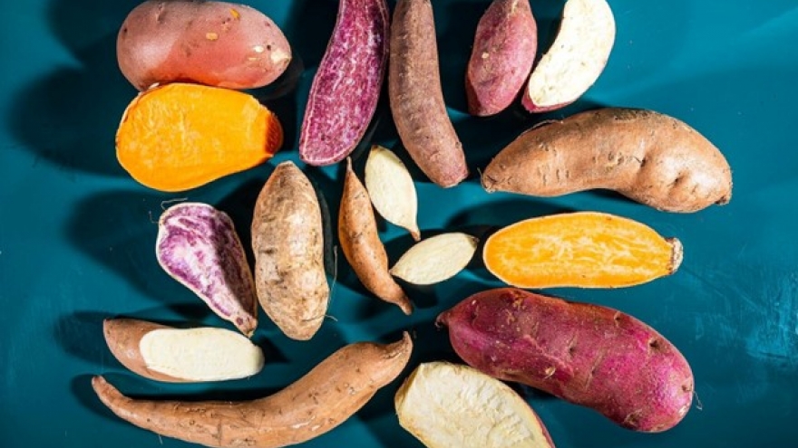 Những người này phải cực thận trọng khi ăn khoai lang kẻo “mang họa vào mình”