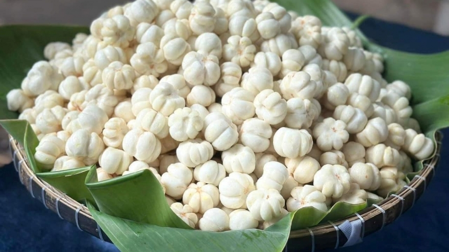 “Nữ hoàng trái cây” chua ngọt thanh mát, siêu bổ dưỡng lại cực sẵn ở chợ Việt