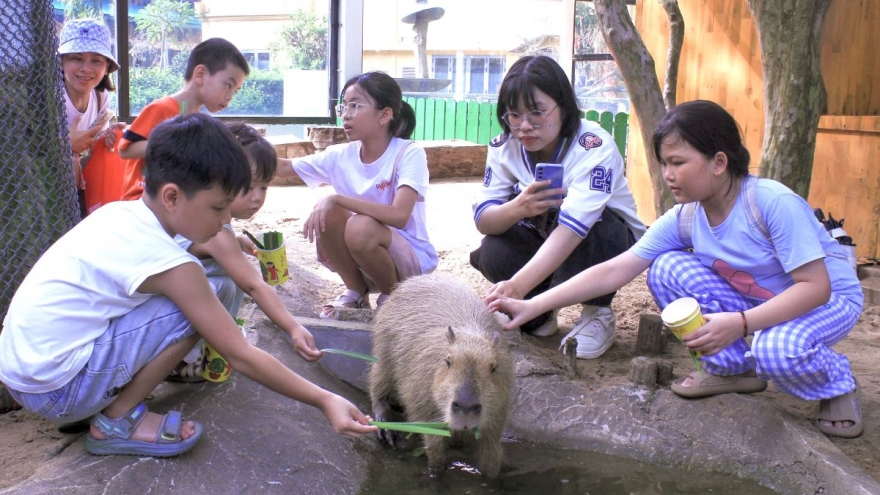 Rộn ràng lễ hội kỷ niệm 80 năm Quốc khánh 2/9