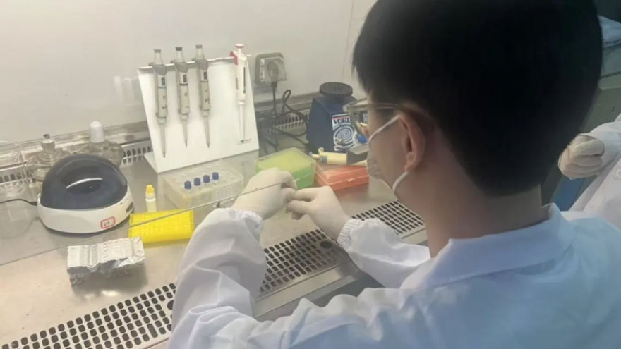 Trung Quốc phát triển bộ kit phát hiện sốt Chikungunya siêu nhanh