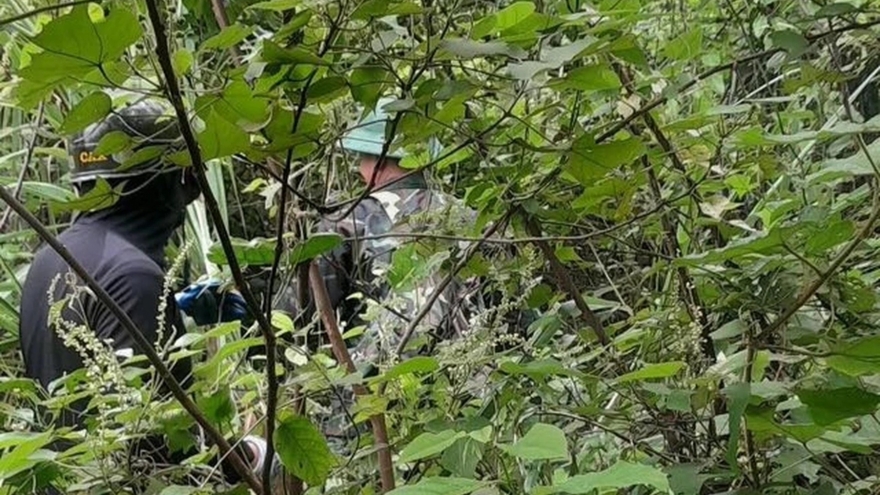 Tìm thấy thi thể người phụ nữ mất tích khi đi bắt ốc trong rừng