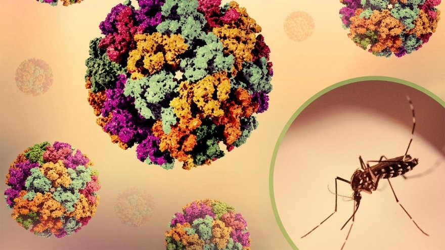 Bệnh Chikungunya có thể ảnh hưởng 5,6 tỷ người trên toàn cầu