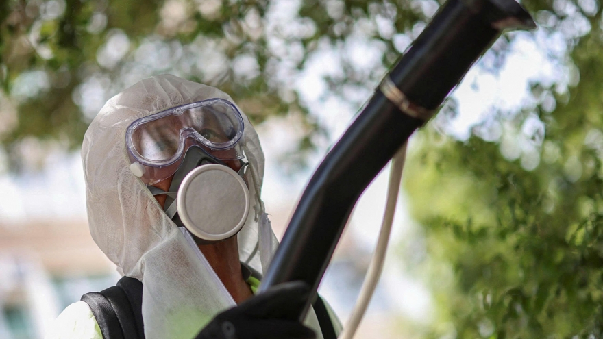 Việt Nam tồn tại nguy cơ bệnh Chikungunya xâm nhập