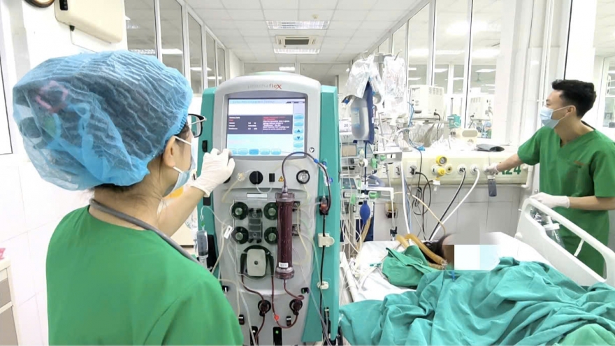 Nữ bệnh nhân nguy kịch do vi khuẩn sau khi đi bắt ngao và làm ruộng