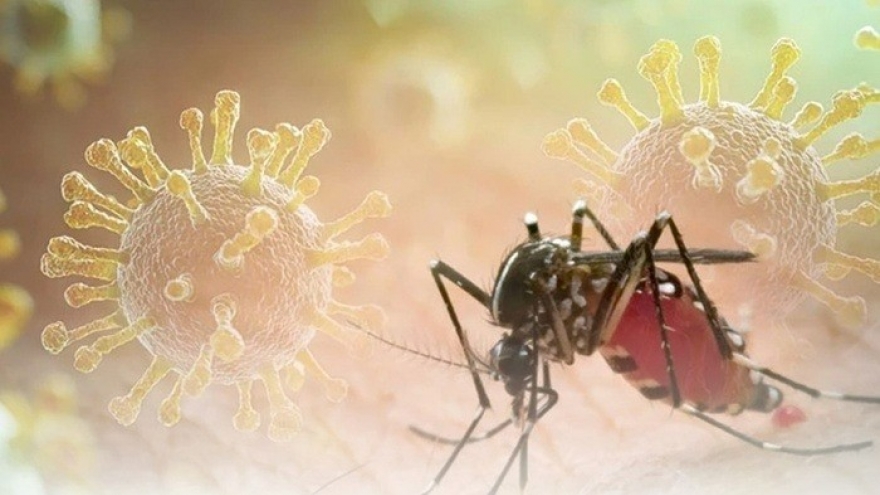 Chikungunya có thể gây biến chứng nghiêm trọng, ai dễ gặp nguy hiểm nhất?