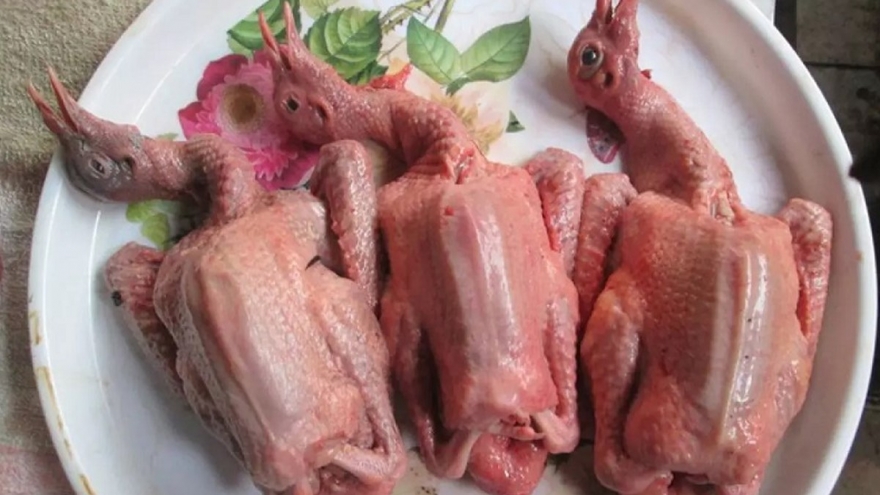 Thịt chim bồ câu - Món ăn bổ dưỡng, nhiều công dụng cho sức khỏe