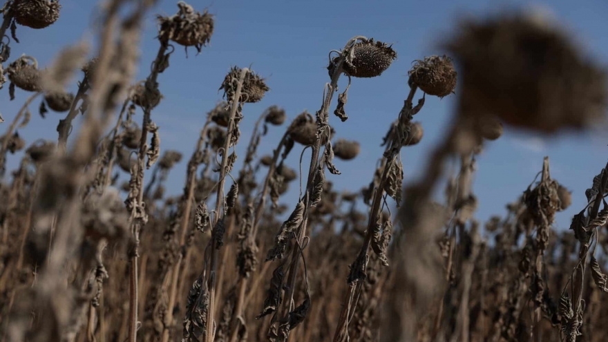 Khủng hoảng nước ở Bulgaria: Lời cảnh báo cho châu Âu