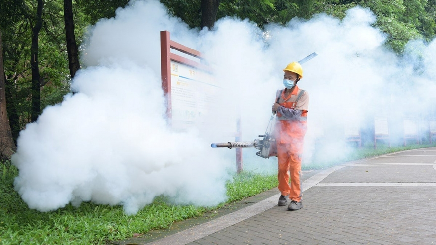 Chikungunya có dấu hiệu bùng phát mạnh, loạt quốc gia gửi cảnh báo tới người dân