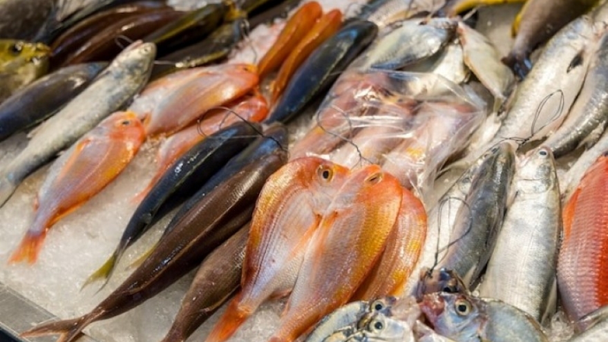 5 dấu hiệu nhận biết cá "bẩn" rẻ mấy cũng không nên mua