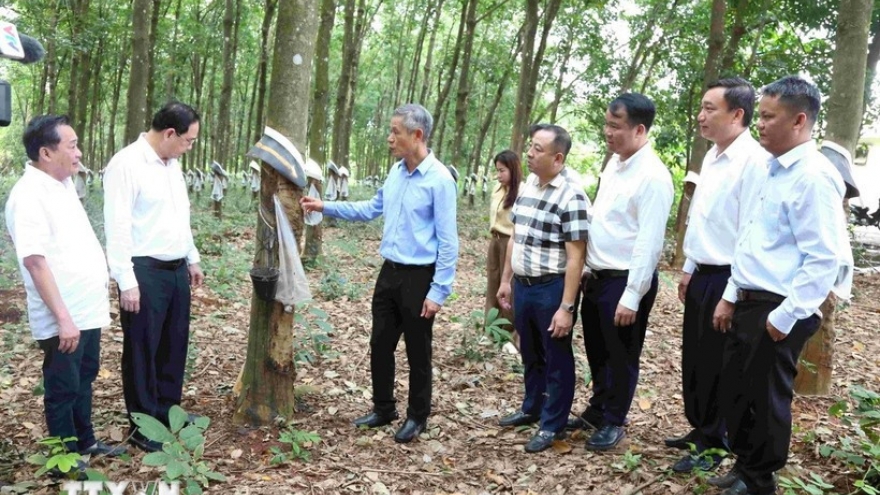 Vietnam bolsters investment, economic cooperation in northeastern Cambodia