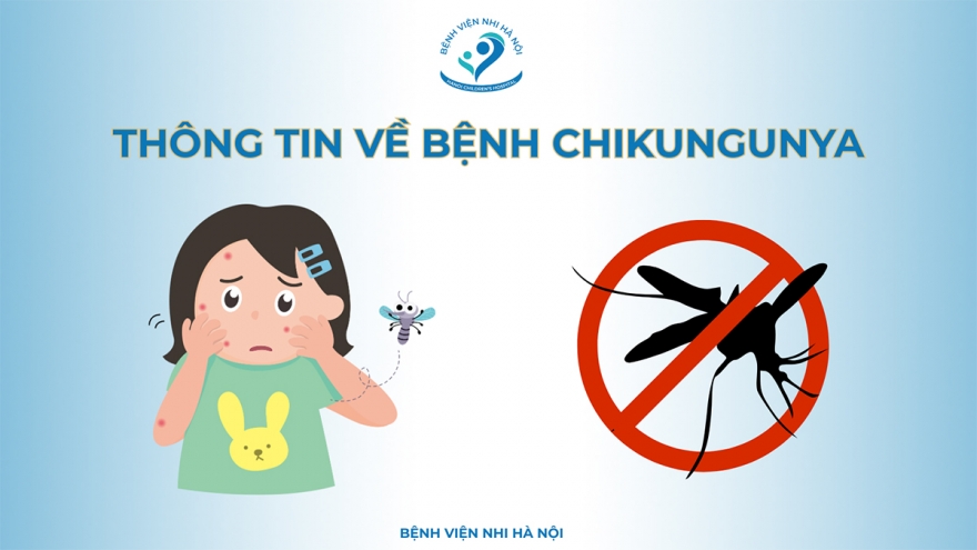 Bộ Y tế bác tin Việt Nam có ca mắc bệnh Chikungunya