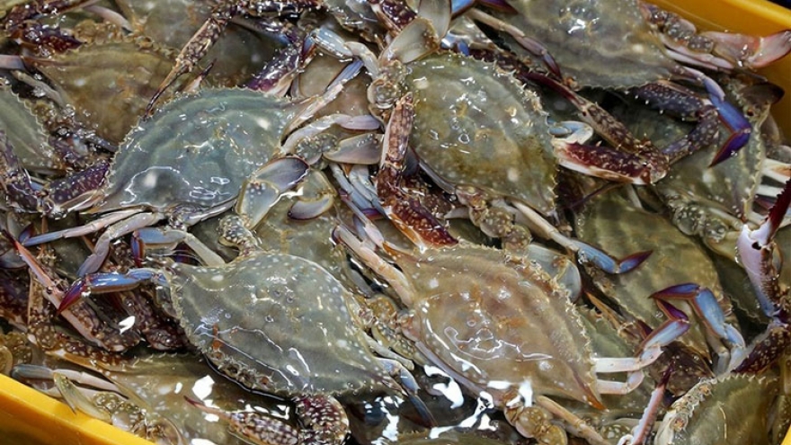 Crab exports hit 10-year high in first quarter