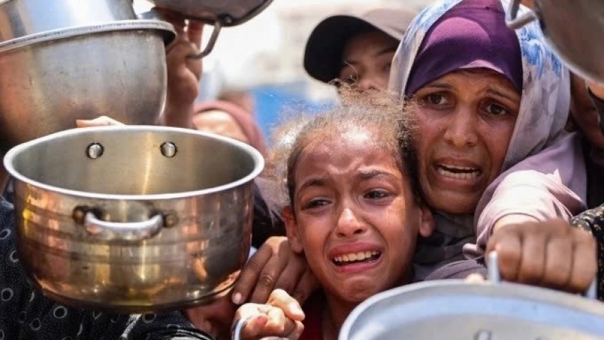 Dư luận về việc Liên Hợp Quốc tuyên bố nạn đói ở Gaza