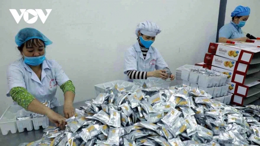 Newly established businesses increase in numbers over seven months