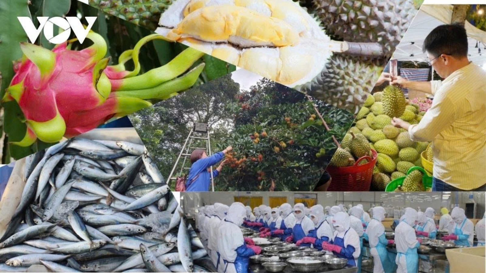 Seven-month exports hit US$262 billion, exceeding expectations