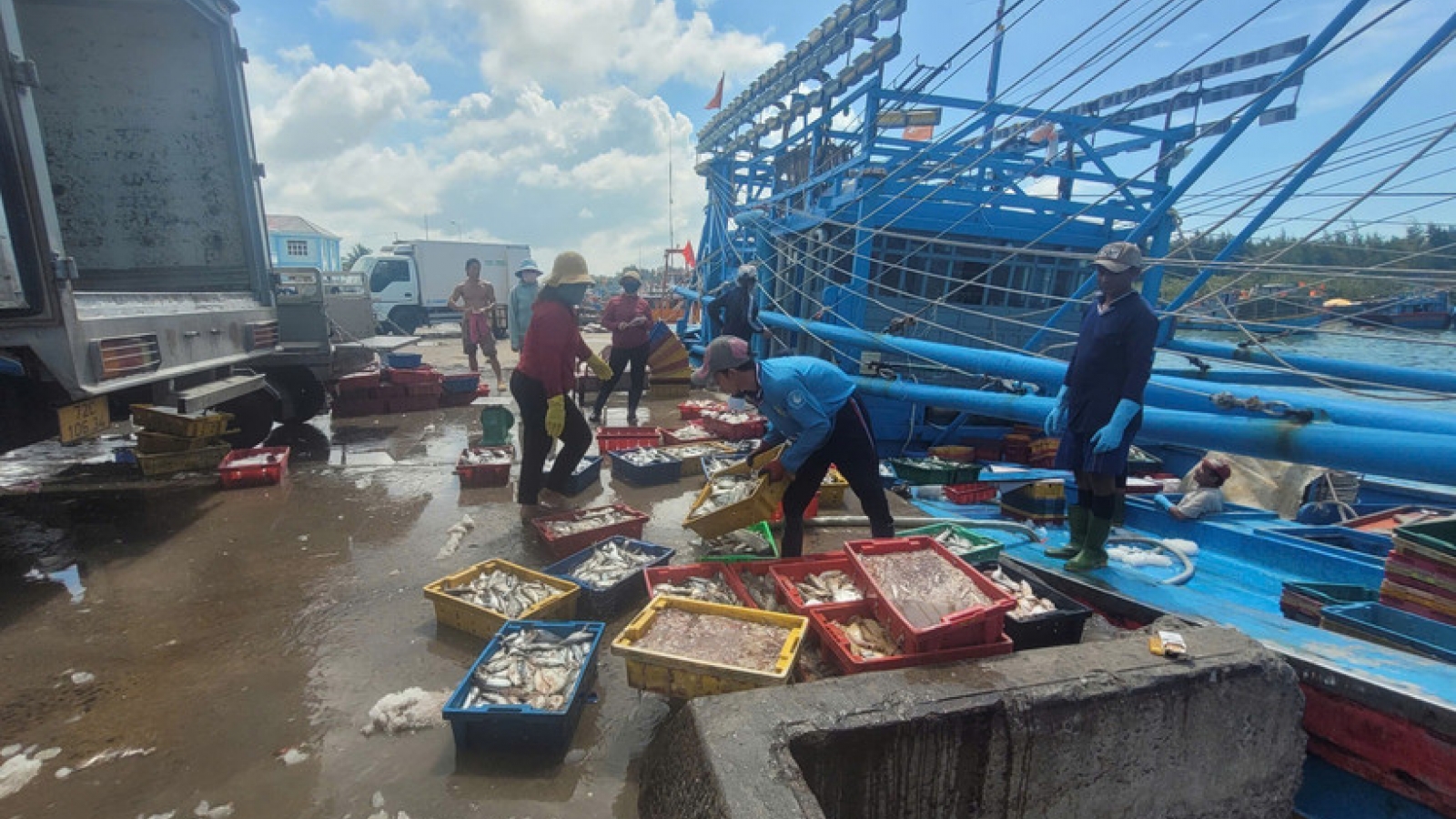 HCM City steps up measures to address IUU fishing
