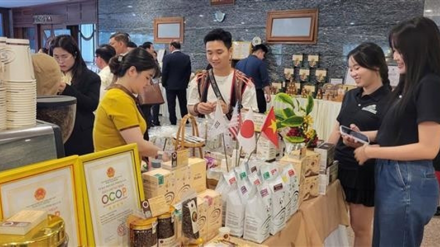 Gia Lai seeks to boost key agricultural exports to China