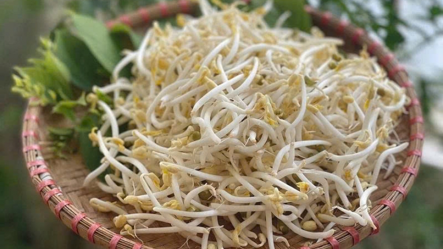 Ăn giá đỗ có giúp tăng cường sinh lý?