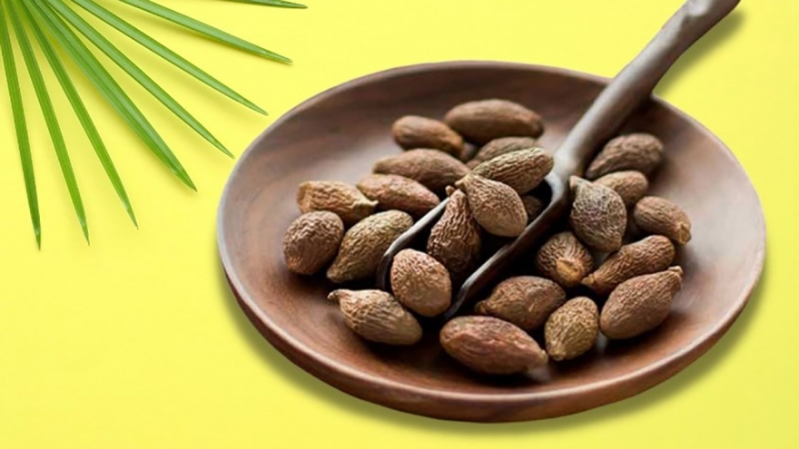 Ươi bay rụng giữa rừng già, dân đổ xô nhặt “lộc trời” bán 600.00 đồng/kg